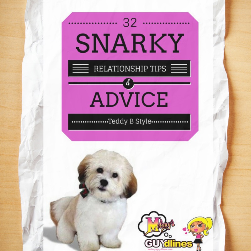 32 snarky relationship tips from my dog Teddy brewski  - part 2