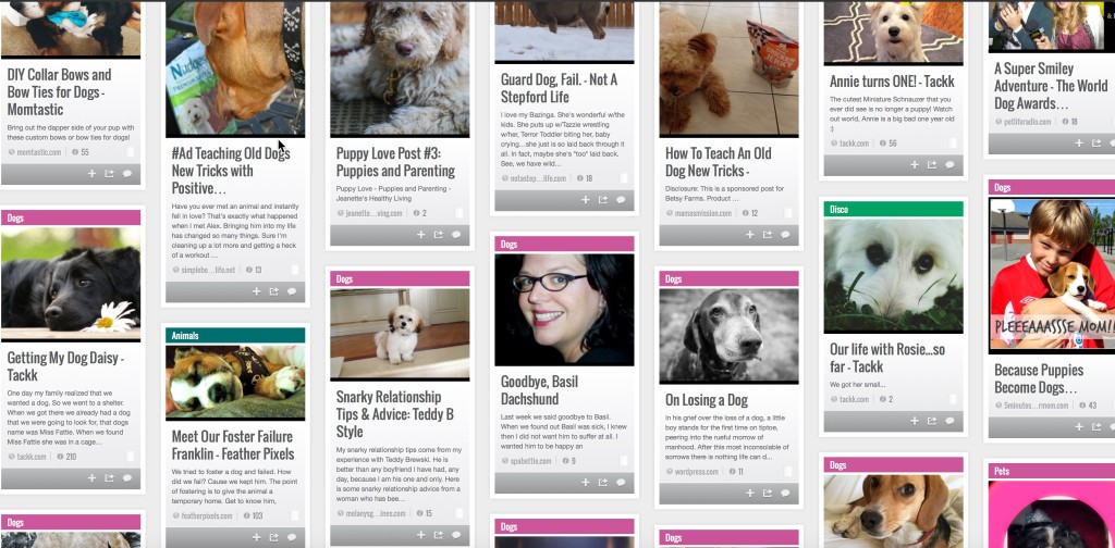 stumbleupon all things dogs