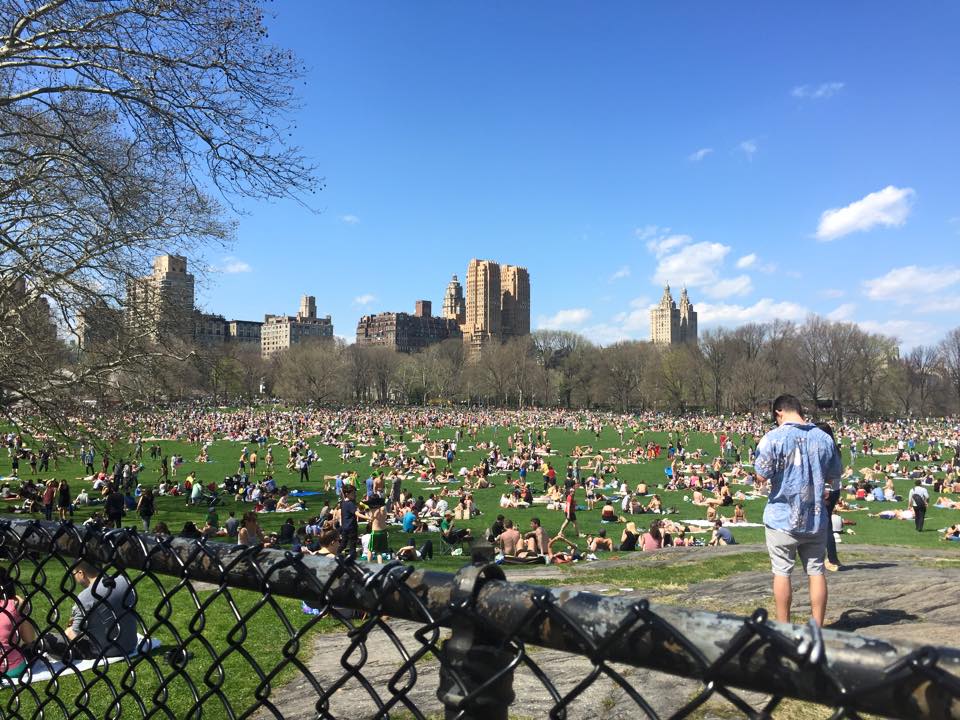 Central Park - New York City