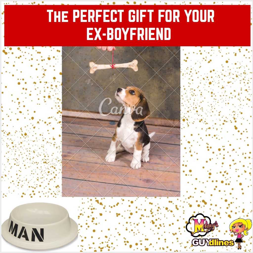 the perfect gift for your exboyfriend 