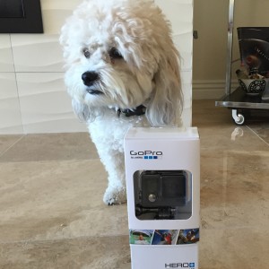 GO PRO. Win A GoPro Hero+ LCD Waterproof Camera 