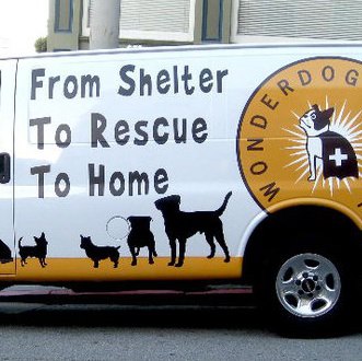 Wonderdog rescue