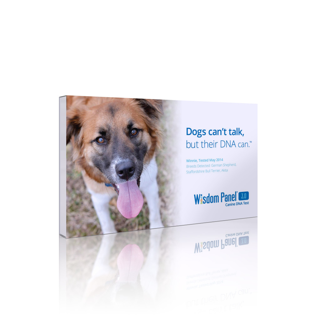 Must Have Gift For Your Dog: Wisdom Panel® 3.0 DNA Test 