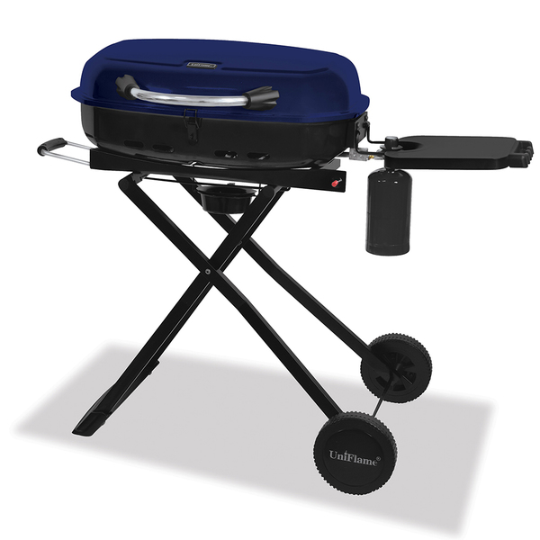 Portable gas grill from Overstock 