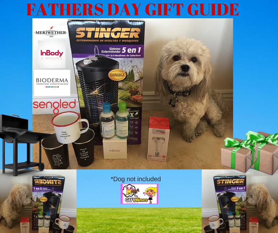 Father Day Gift Guide 2016 Dog Not Included