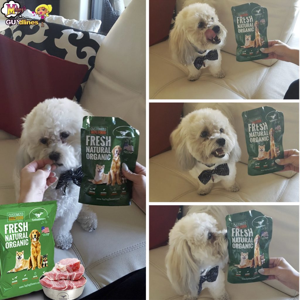 When TopDogDinners approached me, I told them that I would only write this post if Teddy actually loved the treats and he sure does…. A LOT!