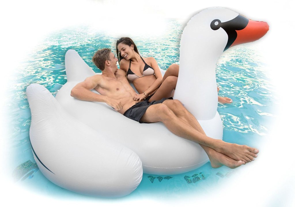 swan pool float