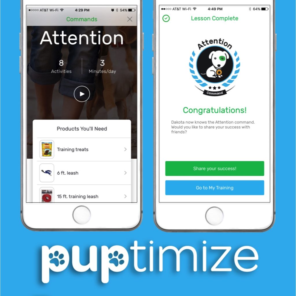 Puptimize App