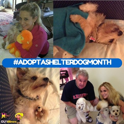 Adopt a Shelter Dog Month