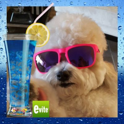 Throw a Pet Pawty With Evite Invitations & Win The #PawtyPeople Contest