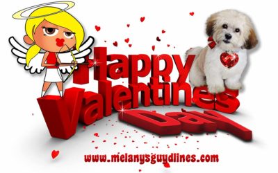 Happy Valentine's Day From Teddy Brewski And Melanysguydlines